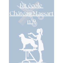 Kit 9 Ecole Château Massart