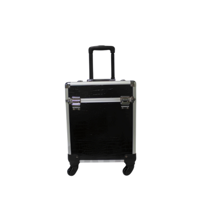 T2G Valise nouveau modèle