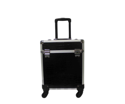 T2G Valise nouveau modèle