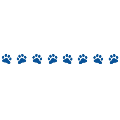 Stickers Bande 8 Pattes 60cm X 5.7cm Bleu