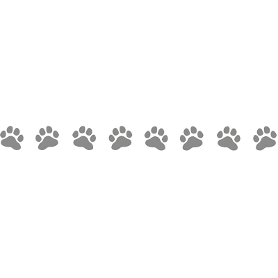 Stickers Bande 8 Pattes 60cm X 5.7cm Gris Argent