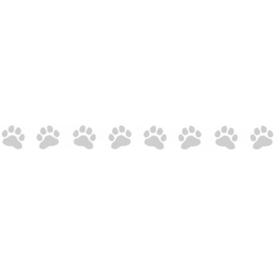 Stickers Bande 8 Pattes 60cm X 5.7cm Sable