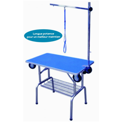 Dg Table De Transport +Roulettes - DGN302C