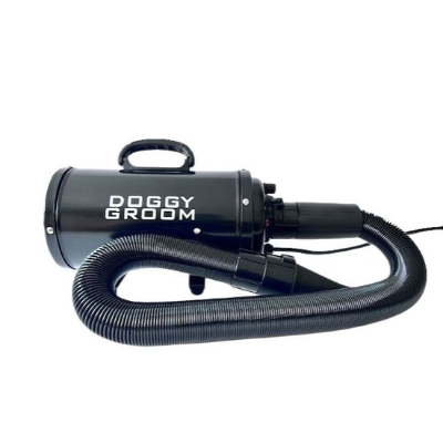 DG séchoir/Pulseur 2400W Sol Master Force Black