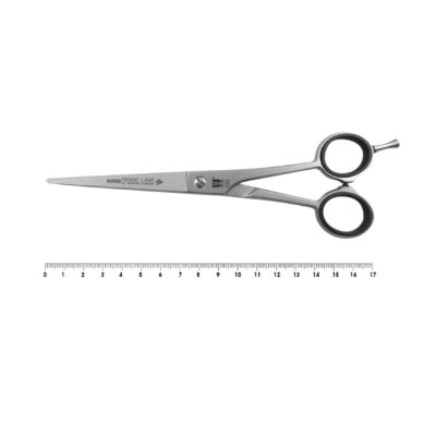 Roseline Ciseaux Droits 17cm - 82065