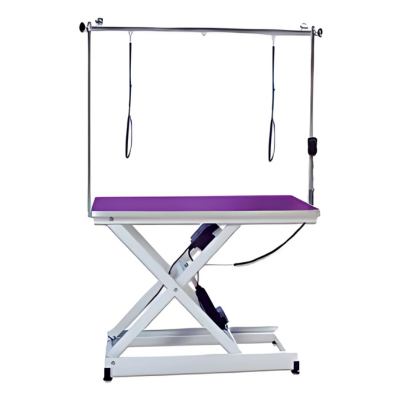 Dg Table Electrique 110 X60  Potence Double Lila
