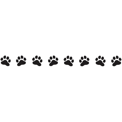 Stickers Bande 8 Pattes 60cm X 5.7cm Noir