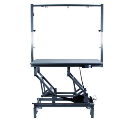 Ravenstein King Size Table Electrique 123x68 Roulettes Potence Double
