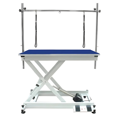 Dg Table Electrique Commande Pied Potence Double Bleue - N-140