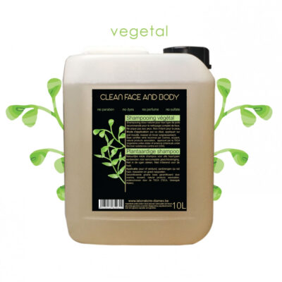 Diamex Clean Face And Body 10l