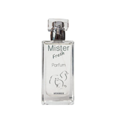 Diamex Parfum Mister Fresh 50ml