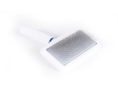 Doggy Man Brosse Grande