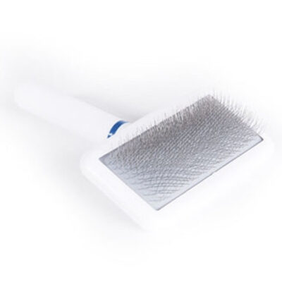 Doggy Man Brosse Grande