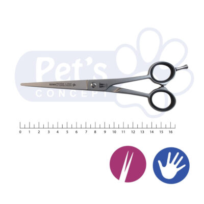 Roseline Ciseaux Droits 17cm - 82065