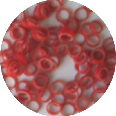 Sachet De 100 Elastiques Rouges