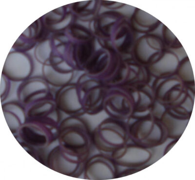 Sachet De 100 Elastiques mauves