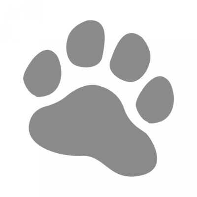 Stickers Patte 20cm Gris Argent