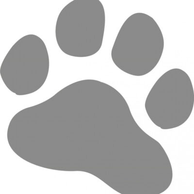 Stickers Patte 30cm Gris Argent