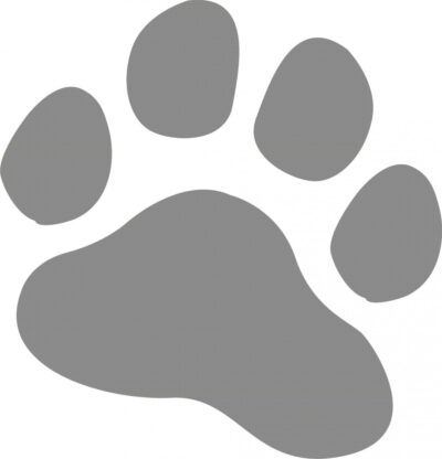 Stickers Patte 30cm Gris Argent