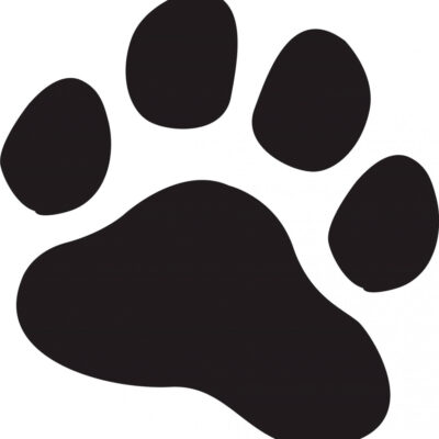 Stickers Patte 30cm Noir
