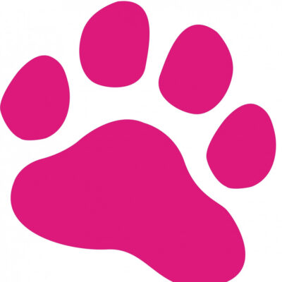 Stickers Patte 30cm Rose