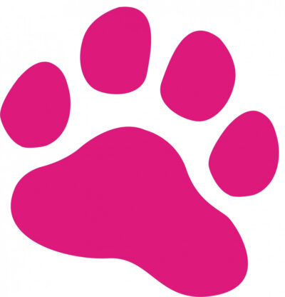 Stickers Patte 30cm Rose