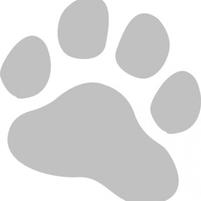 Stickers Patte 30cm Sable