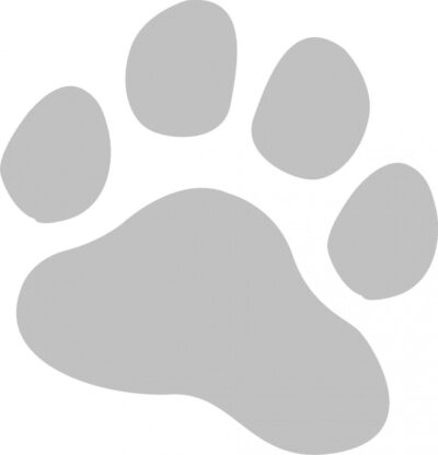 Stickers Patte 30cm Sable