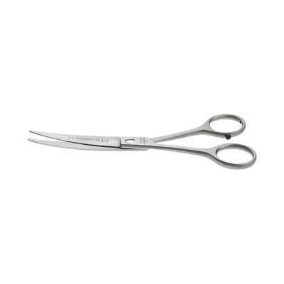 EHASO CISEAUX COURBES INOX 17 CM 13174